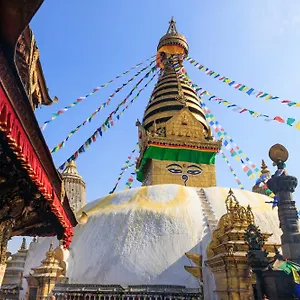House Of Forrest, Service , Kathmandu Nepal
